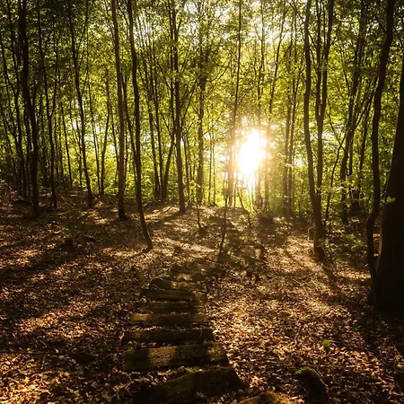 Dla Pary Kaszuby Linia Brzegowa Jezioro Prywatny *