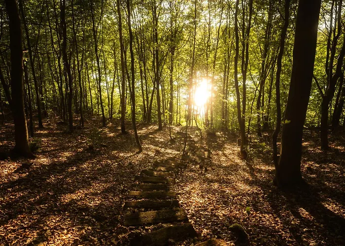 Dla Pary Kaszuby Linia Brzegowa Jezioro Prywatny *